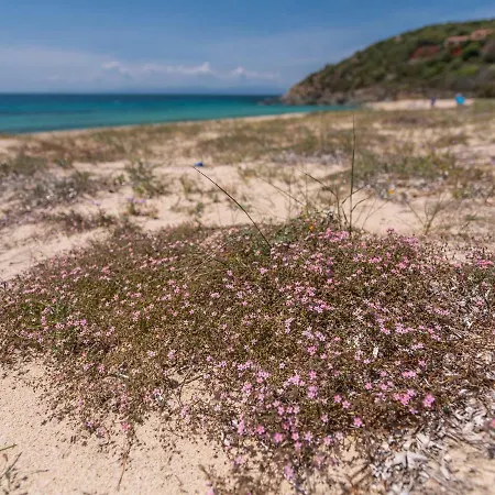 Hébergement de vacances Sardinia