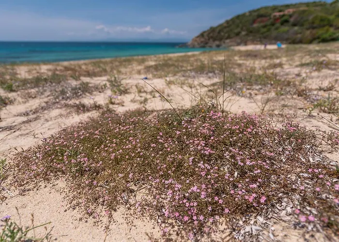 Ferienhaus Sardinia